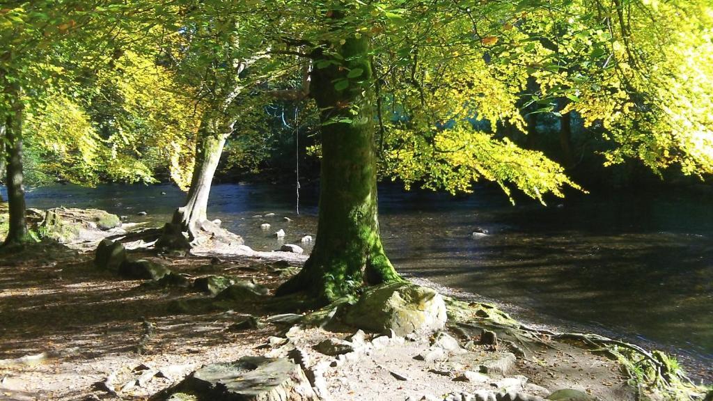 Bryn Bella Hotel Conwy Luaran gambar
